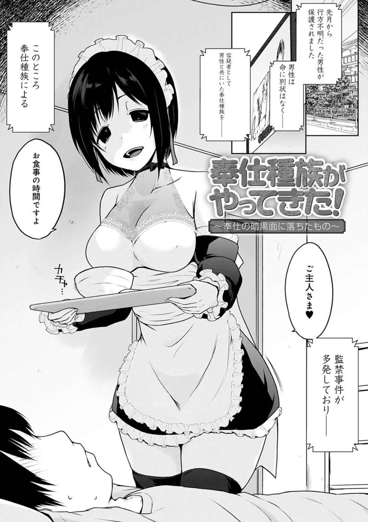 奉仕種族がやってきた! 13ページ