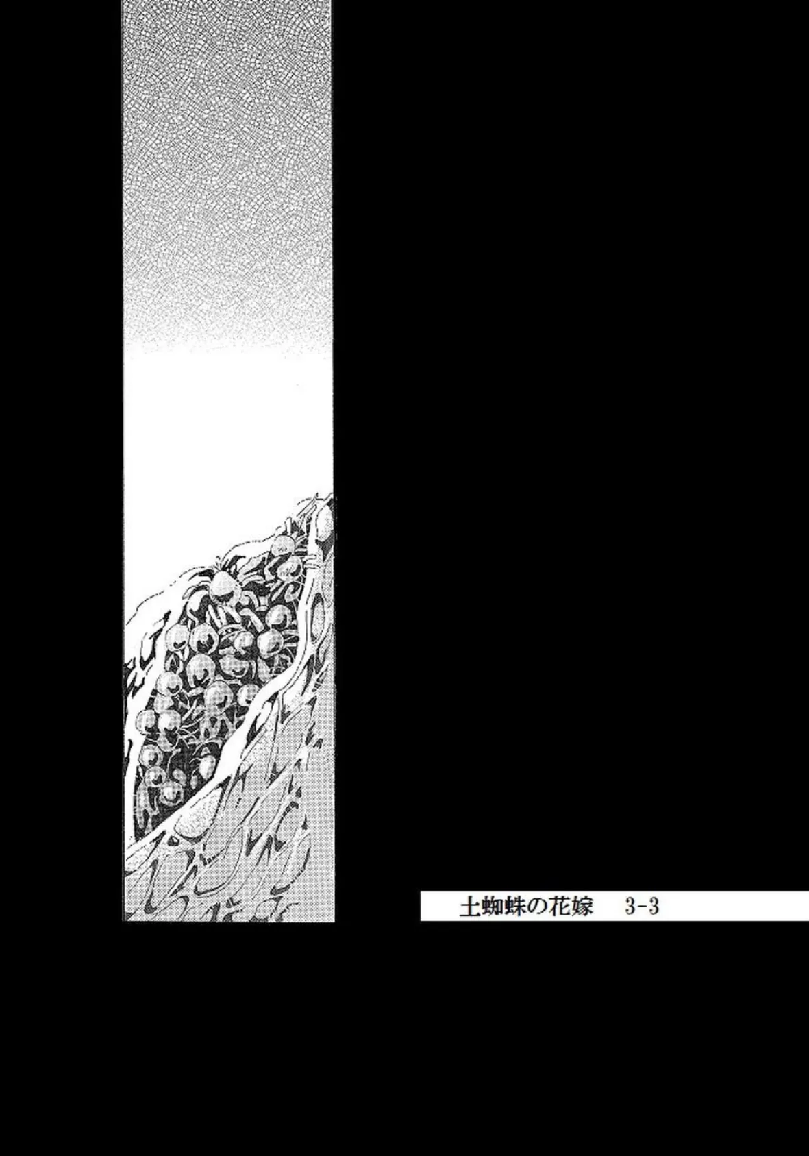 土蜘蛛の花嫁 第三章 3-3 2ページ