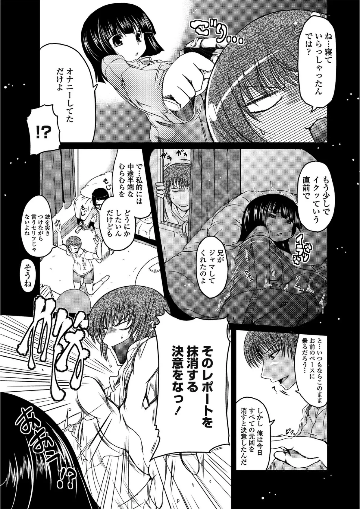 ほたるレポート 3 3ページ